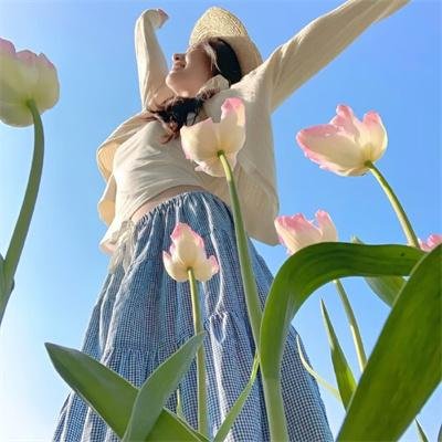 蜘蛛的策略